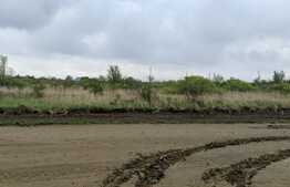 Teren intravilan 3997 mp, Mosnita Noua