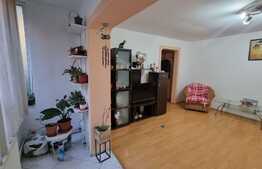 Apartament de 2 camere, 51 mp, zona Freidorf