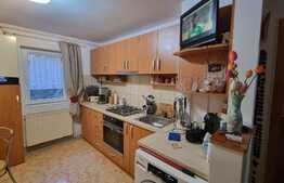 Apartament de 2 camere, 51 mp, zona Freidorf