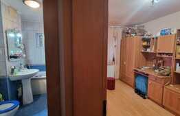 Apartament de 2 camere, 51 mp, zona Freidorf