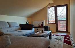 Ocazie deosebita, proprietate superba, cu doua vile de vanzare in Giroc!