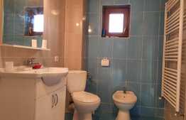 Ocazie deosebita, proprietate superba, cu doua vile de vanzare in Giroc!