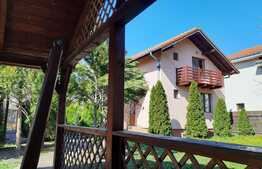 Ocazie deosebita, proprietate superba, cu doua vile de vanzare in Giroc!