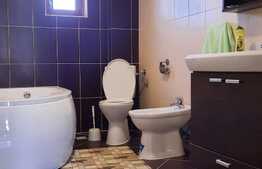 Ocazie deosebita, proprietate superba, cu doua vile de vanzare in Giroc!