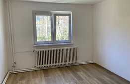 Investitie! Garsoniera, 21 mp, zona Buziasului