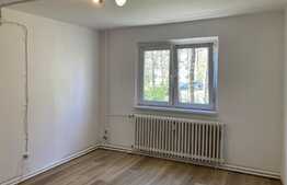 Investitie! Garsoniera, 21 mp, zona Buziasului