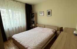 Apartament de 2 camere in zona linistita, 56 mp, Dorobantilor