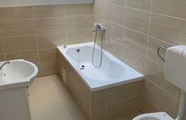 Apartament 3 camere Dambovita-Sagului