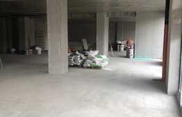 Spatiu comercial, 300mp, vitrima pe 2 parti 