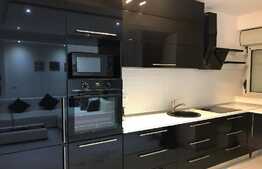 Apartament de lux cu toate facilitatile in zona Torontalului, 2 camere, 65 mp