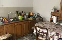 Casa individuala, 161 mp utili central! Ghiroda!