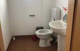 Spatiu comercial, 110 mp, Soarelui 