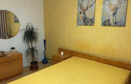 Apartament 2 camere, Torontalului, 46mp 