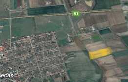 Teren de vanzare extravilan, 10.000 mp, Recas!