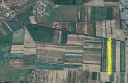 Teren extravilan 8.300 mp, in Recas!