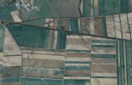 Teren extravilan 2.000 mp, langa Recas!