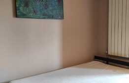 Garsoniera decomandata, pet-friendly, in Dambovita!