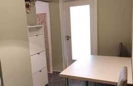 Garsoniera decomandata, pet-friendly, in Dambovita!