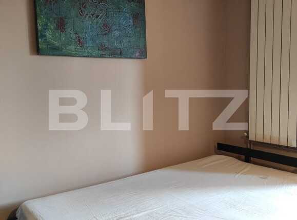 Garsonieră de închiriat Dambovita - 84502AI | BLITZ Timișoara | Poza6