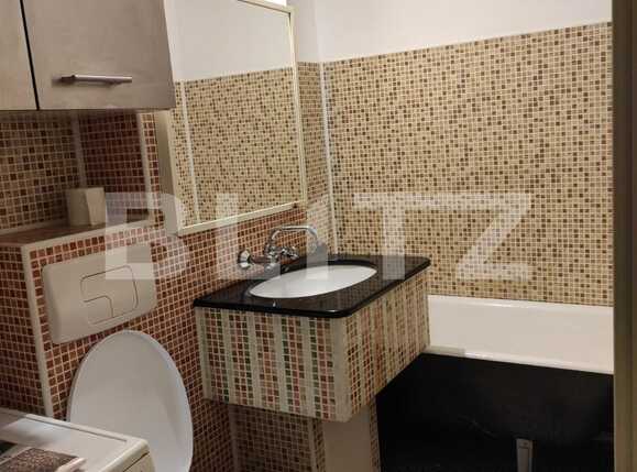 Garsonieră de închiriat Dambovita - 84502AI | BLITZ Timișoara | Poza3