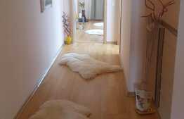 Oportunitate! Casa de vanzare la cheie, 94 mp utili, 196 mp teren, Calea Urseni