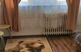 Garsoniera de 19 mp, mobilata, zona UMT