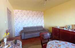 Apartament de 2 camere, 49 mp, zona Sagului