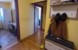 Apartament de 2 camere, 49 mp, zona Sagului