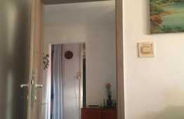 Apartament de 2 camere, 47 mp, zona Lipovei