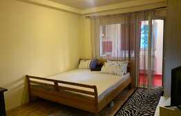 Oportunitate investitie! Garsoniera cocheta, 25 mp, zona Lipovei