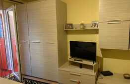 Oportunitate investitie! Garsoniera cocheta, 25 mp, zona Lipovei