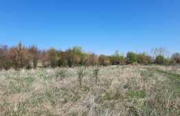 Teren, 11273 mp, pentru investitie, zona Plopi din Timisoara!