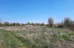 Teren, 11273 mp, pentru investitie, zona Plopi din Timisoara!