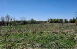 Teren, 11273 mp, pentru investitie, zona Plopi din Timisoara!