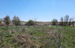 Teren, 11273 mp, pentru investitie, zona Plopi din Timisoara!