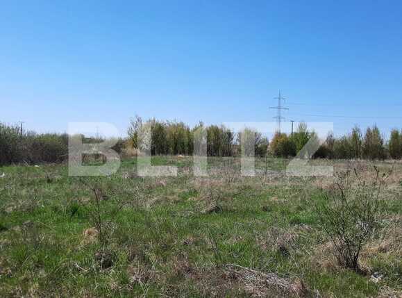 Teren de vânzare Plopi - 84772TV | BLITZ Timișoara | Poza6