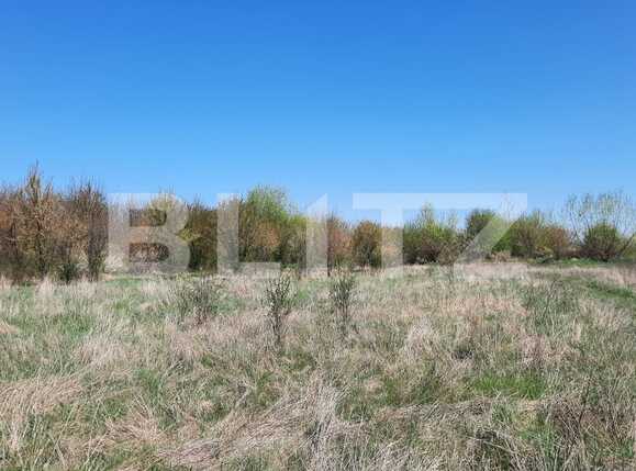 Teren de vânzare Plopi - 84772TV | BLITZ Timișoara | Poza4