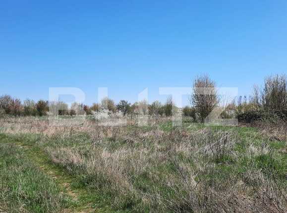 Teren de vânzare Plopi - 84772TV | BLITZ Timișoara | Poza2