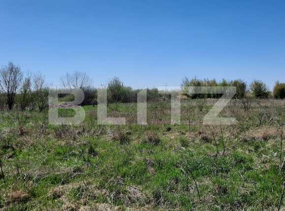 Teren de vânzare Plopi - 84772TV | BLITZ Timișoara | Poza5