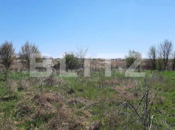 Teren de vânzare Plopi - 84772TV | BLITZ Timișoara | Poza1