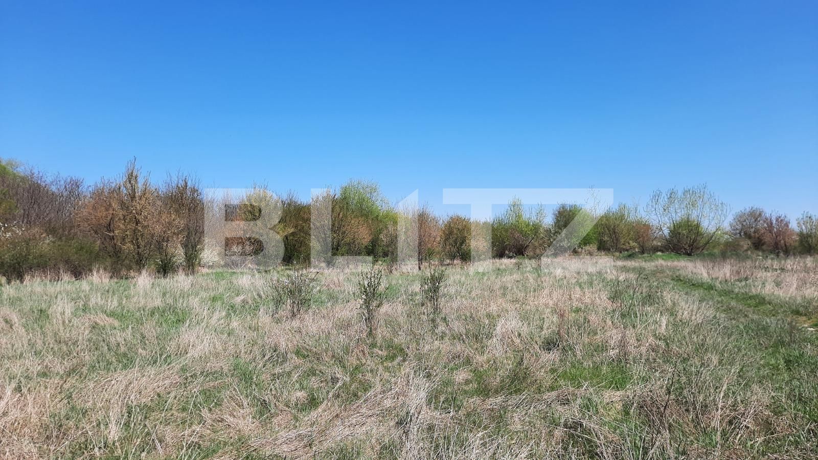 Teren de vânzare Plopi - 84772TV | BLITZ Timișoara | Poza4