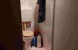 Apartament 3 camere, decomandat, parter inalt, Zona Lipovei