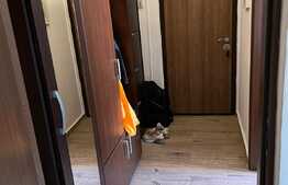 Apartament 2 camere, 50 mp, zona Aradului