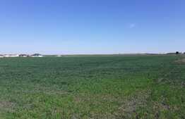 Teren cu suprafață de 3 ha, front 52 m, zona Calea Aradului