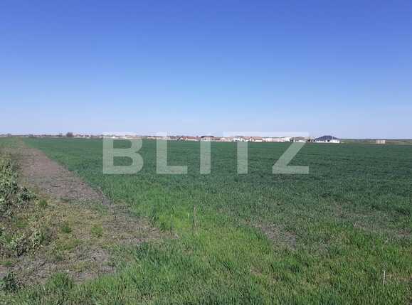 Teren de vânzare Exterior Nord - 84931TV | BLITZ Timișoara | Poza3