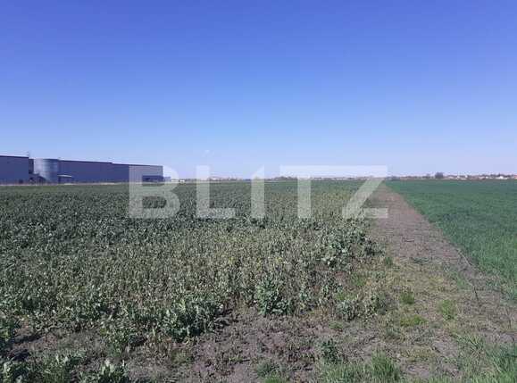 Teren de vânzare Exterior Nord - 84931TV | BLITZ Timișoara | Poza2