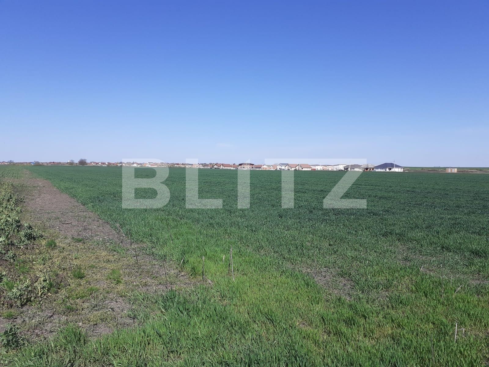 Teren de vânzare Exterior Nord - 84931TV | BLITZ Timișoara | Poza3