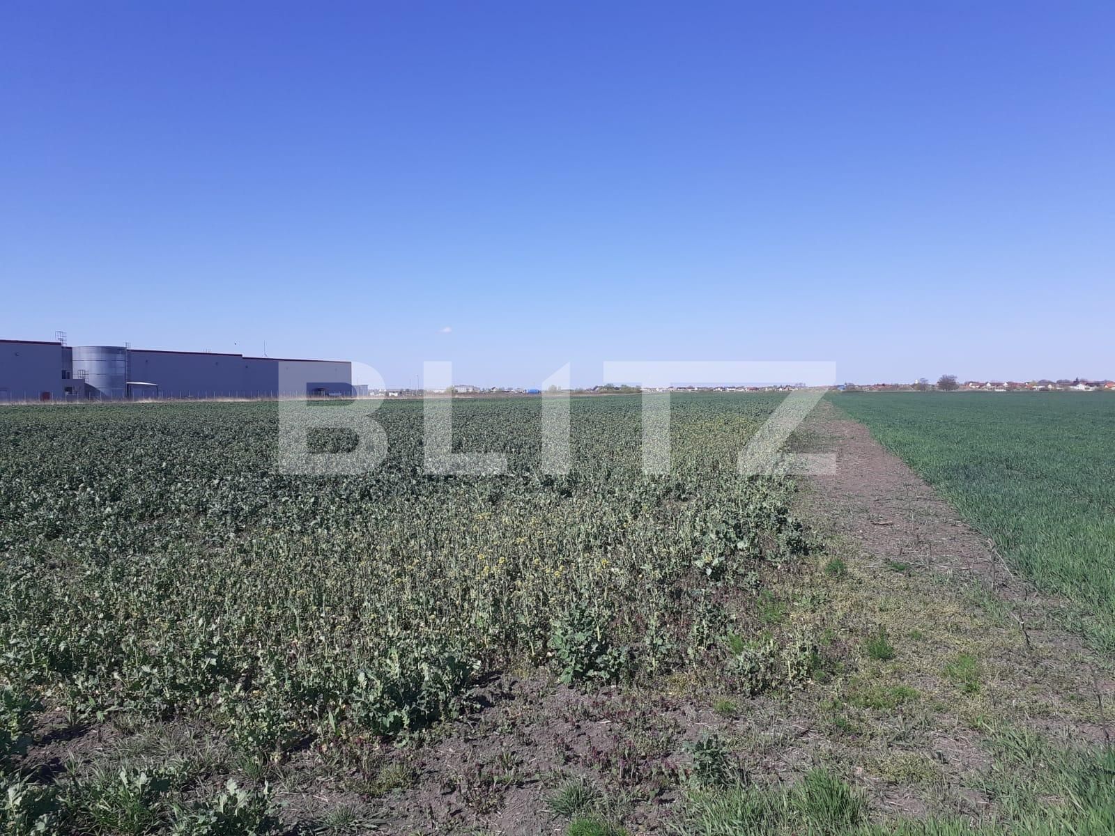 Teren de vânzare Exterior Nord - 84931TV | BLITZ Timișoara | Poza2