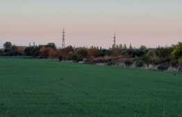 Oportunitate investitie! Teren compact de 65500 mp Ronat-Timisoara