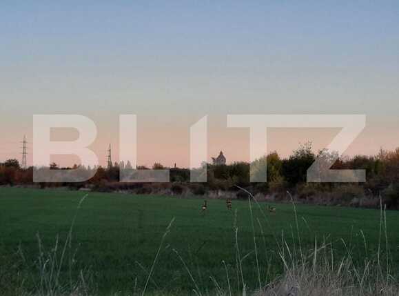 Teren de vânzare Ronat - 84958TV | BLITZ Timișoara | Poza2